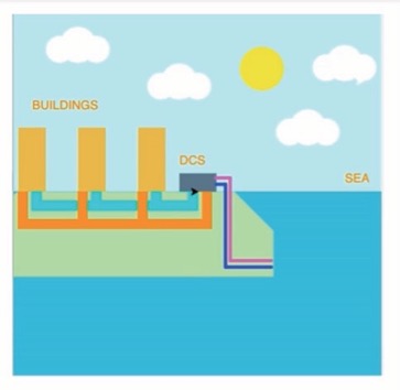 Champion and Creativity Award