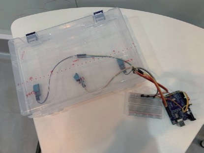 Champion and Creativity Award